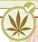Page d'accueil du Parti Marijuana